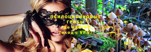 дживик Нязепетровск