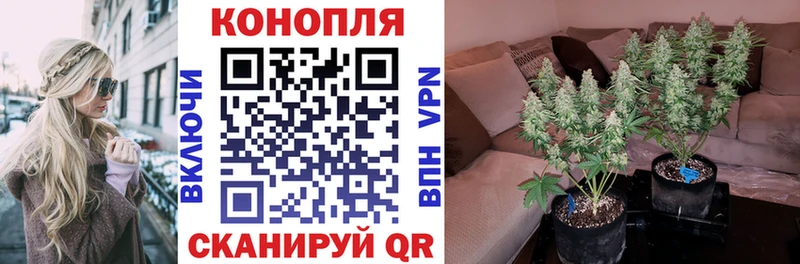 где продают   Иноземцево  Бошки Шишки AK-47 